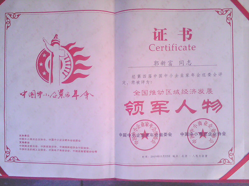 2009年区域经济领军人物